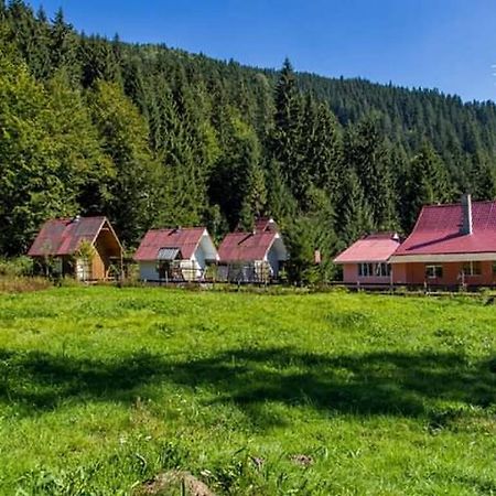 Cabana Valea Stanciului Rachitele Buitenkant foto
