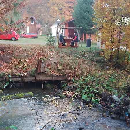 Cabana Valea Stanciului Rachitele Buitenkant foto