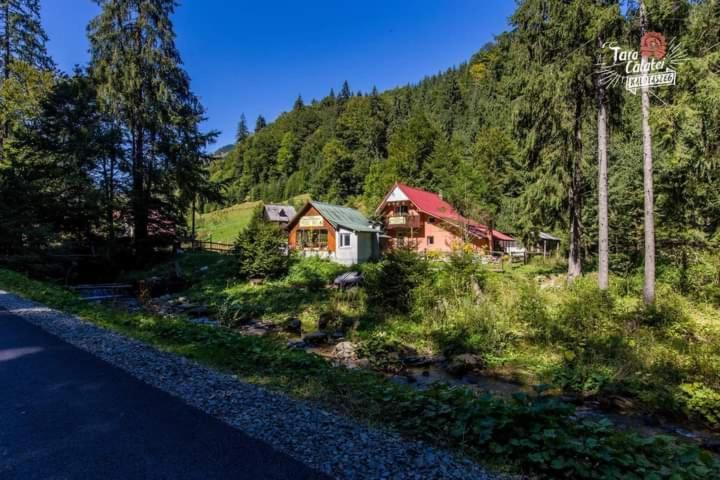 Cabana Valea Stanciului Rachitele Buitenkant foto