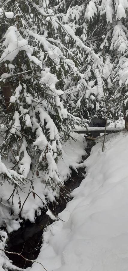 Cabana Valea Stanciului Rachitele Buitenkant foto