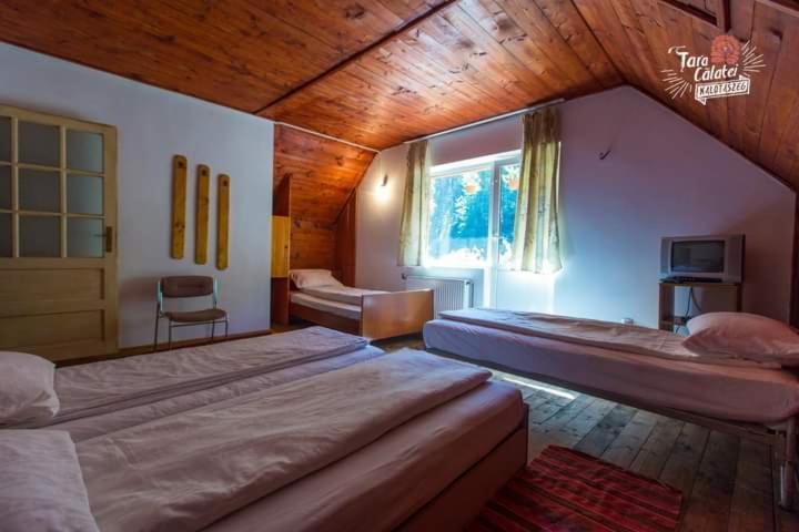 Cabana Valea Stanciului Rachitele Buitenkant foto