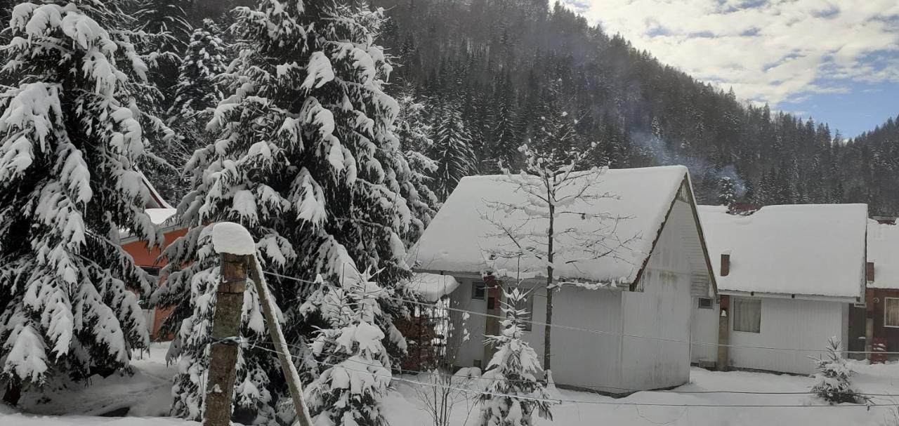 Cabana Valea Stanciului Rachitele Buitenkant foto