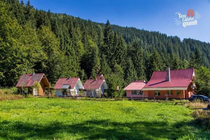 Cabana Valea Stanciului Rachitele Buitenkant foto