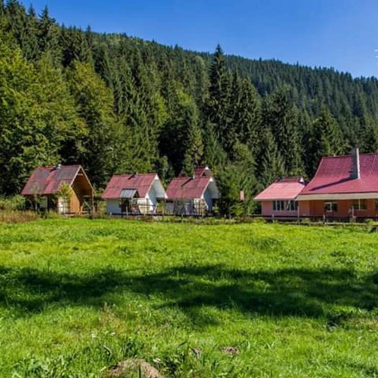 Cabana Valea Stanciului Rachitele Buitenkant foto