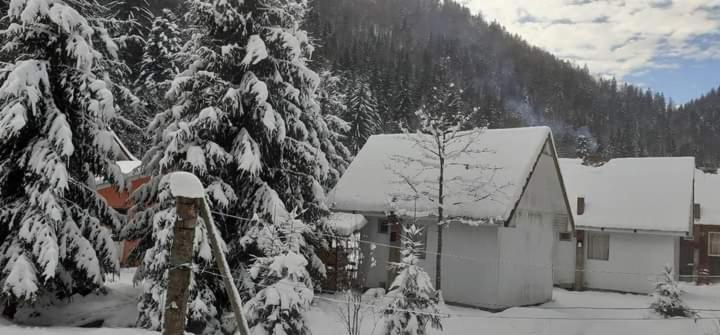 Cabana Valea Stanciului Rachitele Buitenkant foto