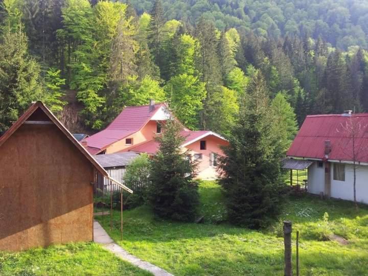 Cabana Valea Stanciului Rachitele Buitenkant foto